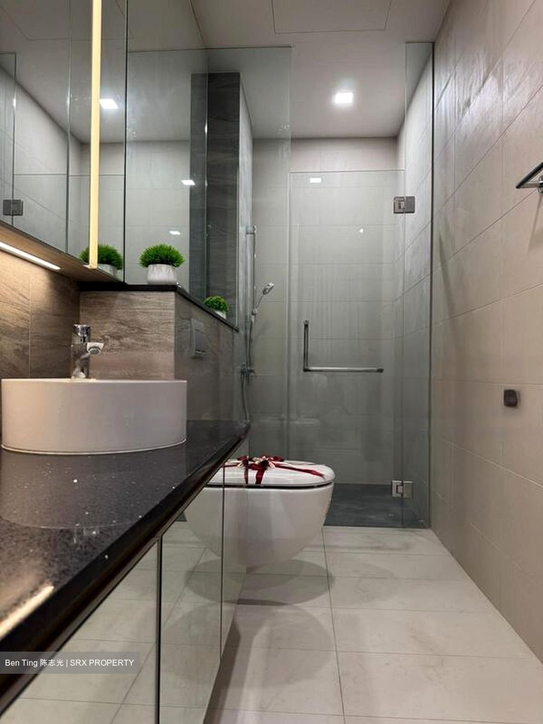 Kallang Riverside (D12), Apartment #456795451